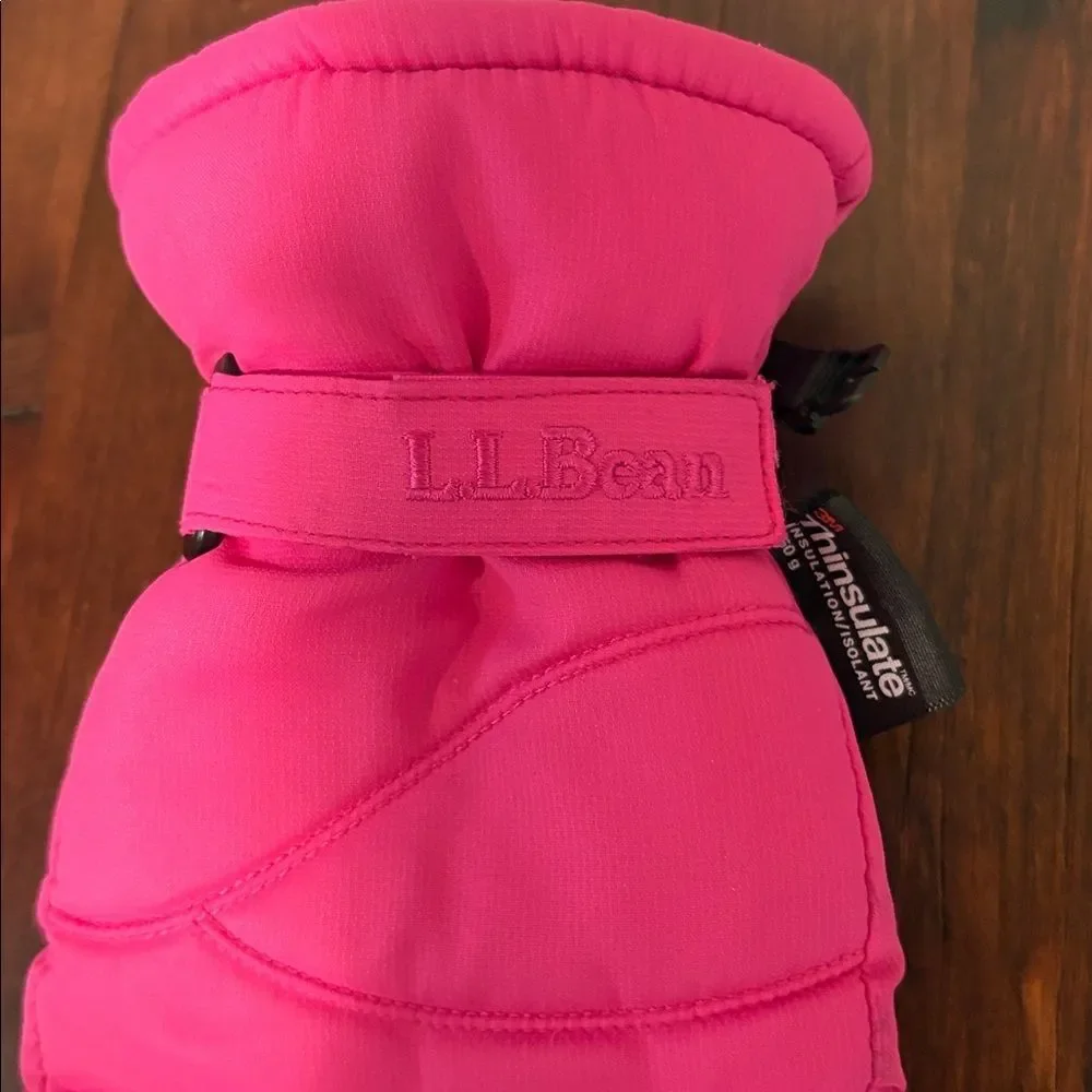 LL Bean Kids Coldbuster Waterproof  Thinsulate Gloves Size L